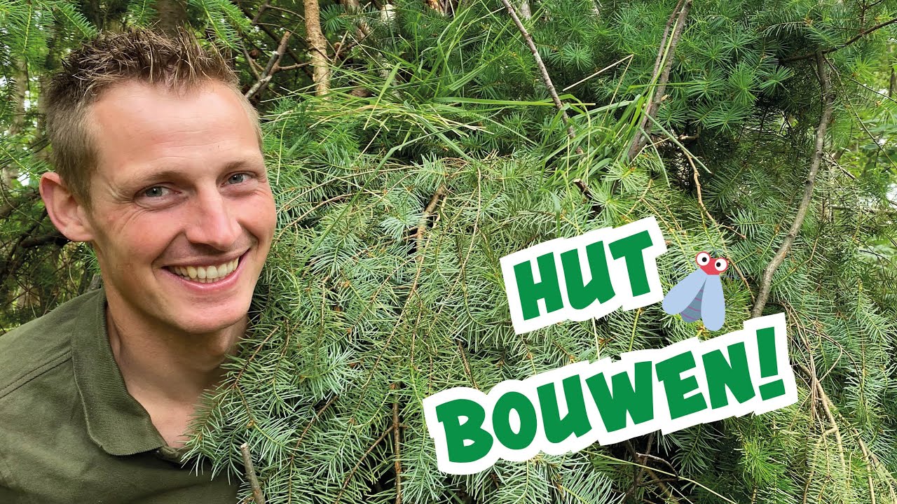Zo bouw je een hut in de natuur!
