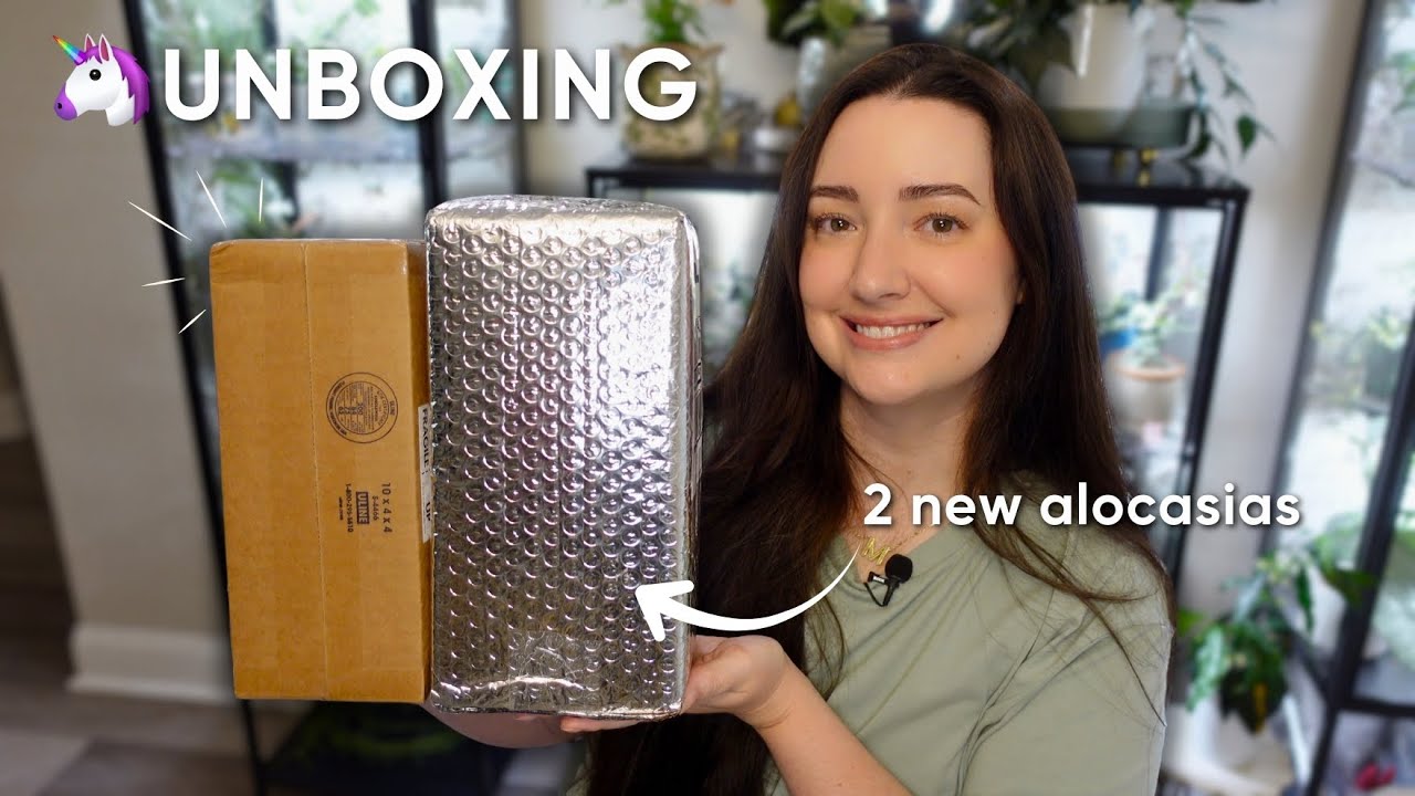 Unbox TWO Rare Alocasia Unicorns With Me! 🦄🌿