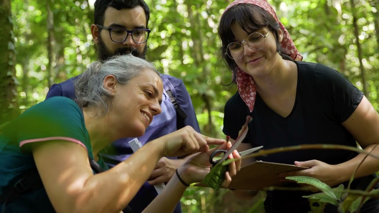 Conhe&ccedil;a a Forma&ccedil;&atilde;o em Ecologia Quantitativa do Serrapilheira