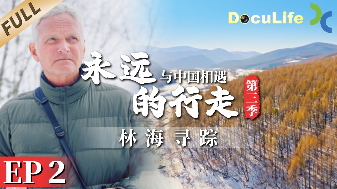《永远的行走：与中国相遇》保罗改变既定路线进入东北虎豹国家公园徒步，寻找中国珍稀动物东北虎（第三季）EP2 The Forever Walk: China【Doculife-SMG纪实人文官方频道】