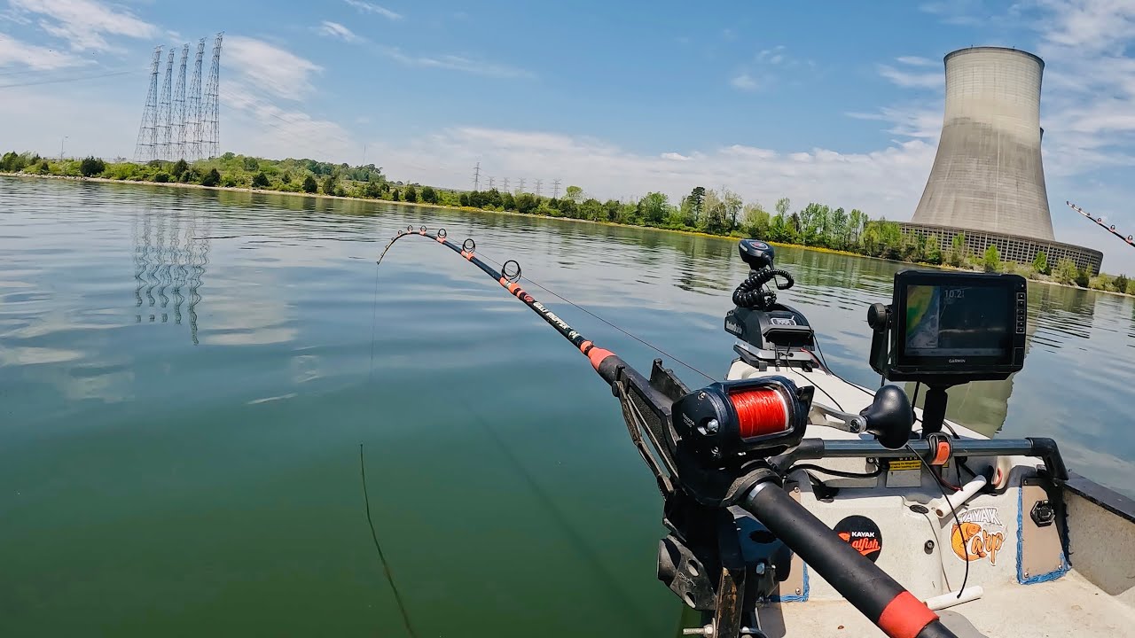 Catfishing for Money - Chickamauga Reservoir