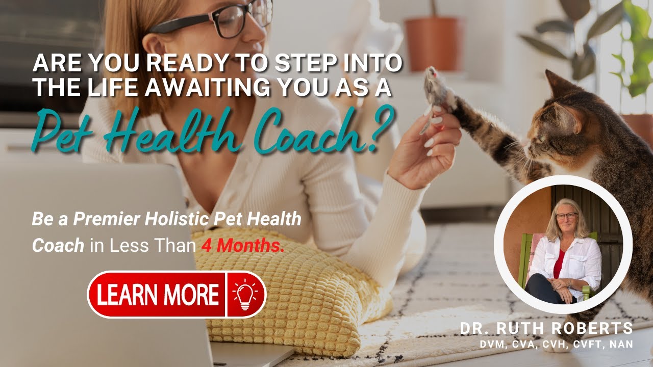 Functional Medicine: How to become Certified Holistic Pet Health Coach