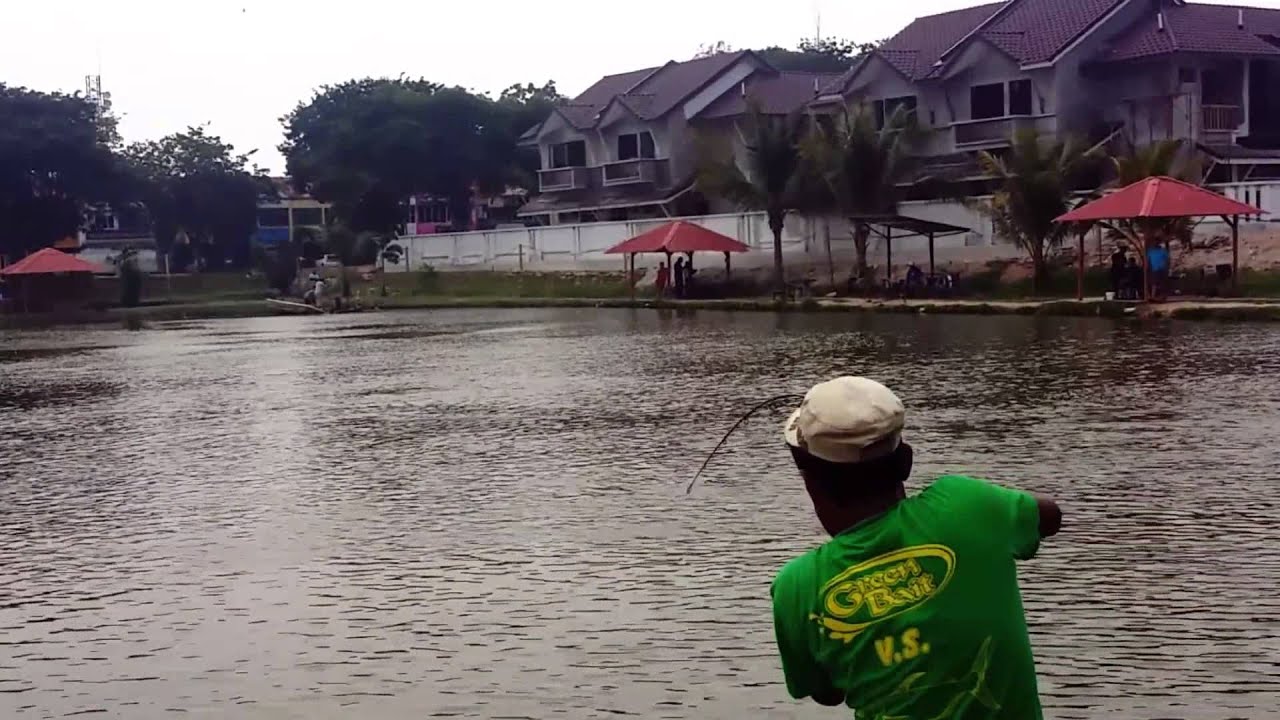 Rod Xzoga Genbu Shittenno PE 2 VS Mekong Catfish