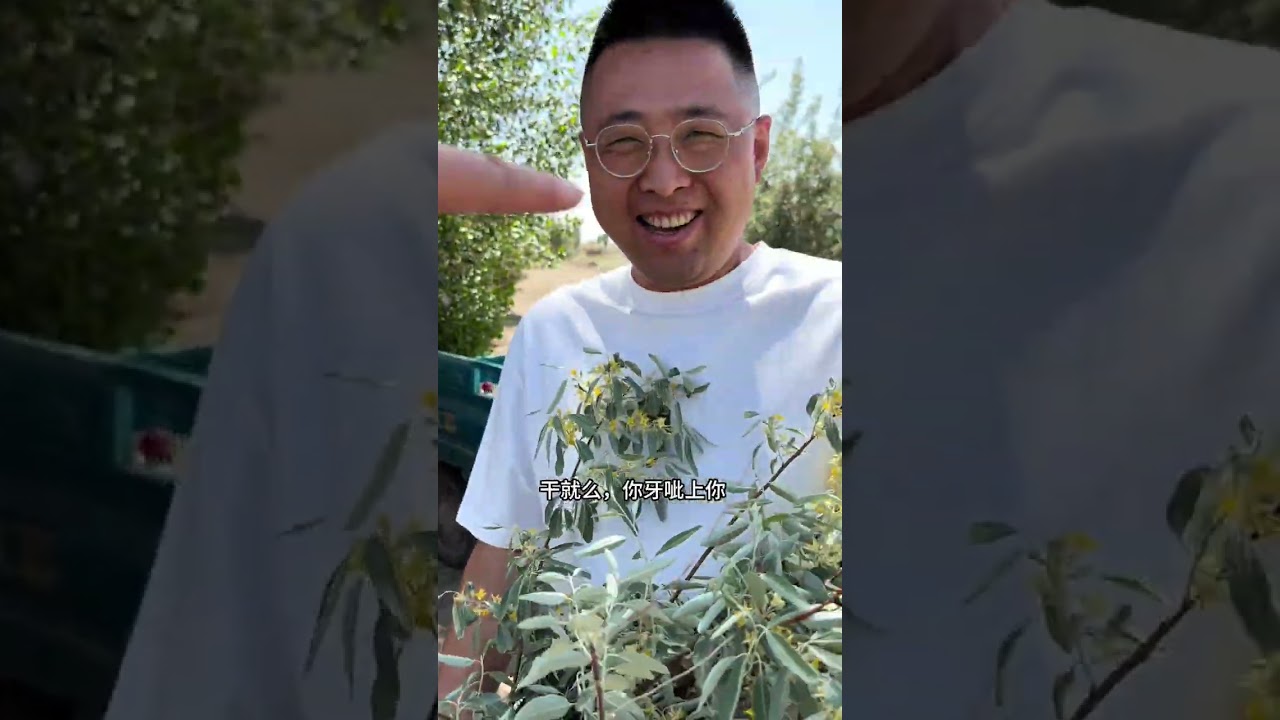 回娘家，是小时候的逃离，是长大后的奔赴。推开那扇熟悉的门，我永远是爸妈眼里长不大的小孩#回娘家 #回家路上风是暖的心是甜的