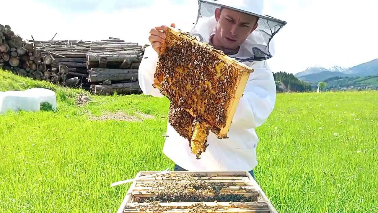 Первый осмотр после дождей