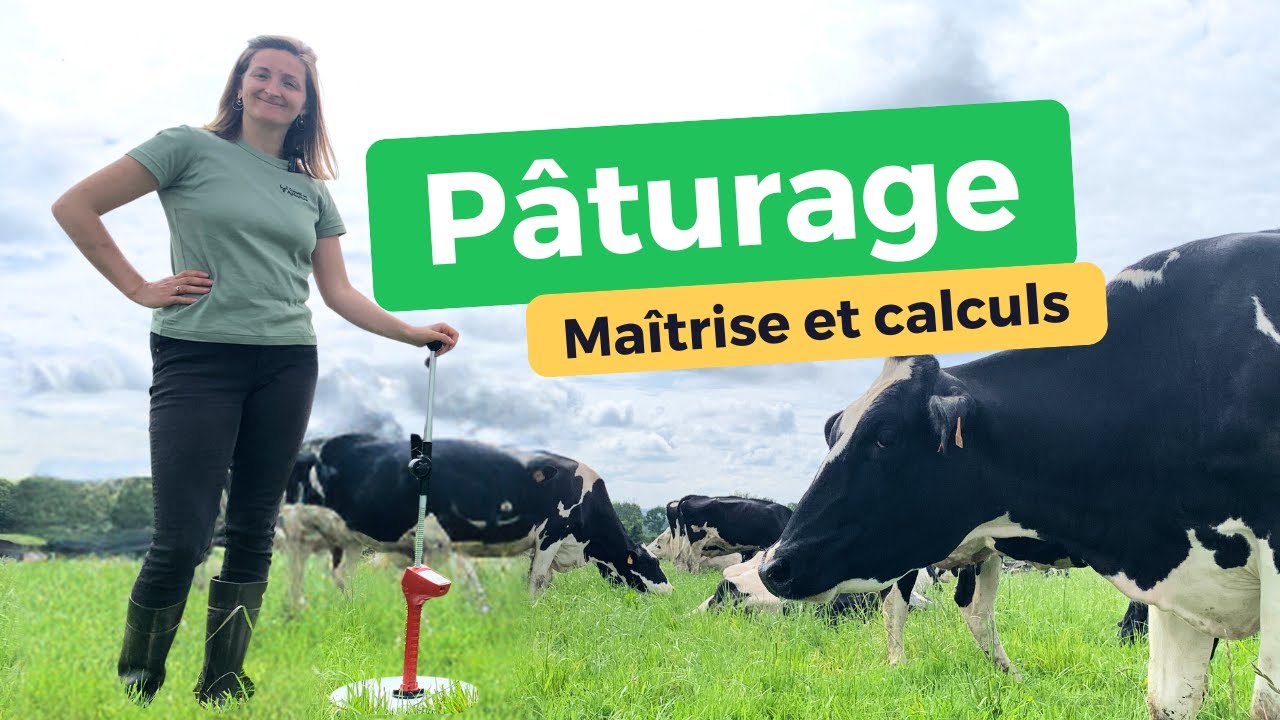 Pâturage : bien gérer la pousse de l’herbe