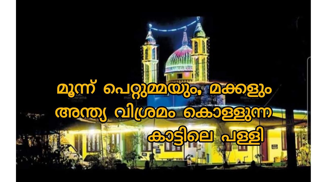 കാട്ടിലെ പള്ളി ഉറൂസ് ||മൂന്ന് പെറ്റുമ്മ മഖം ഉറൂസ് #viral #islam #uroos #kannur #pappinisseri