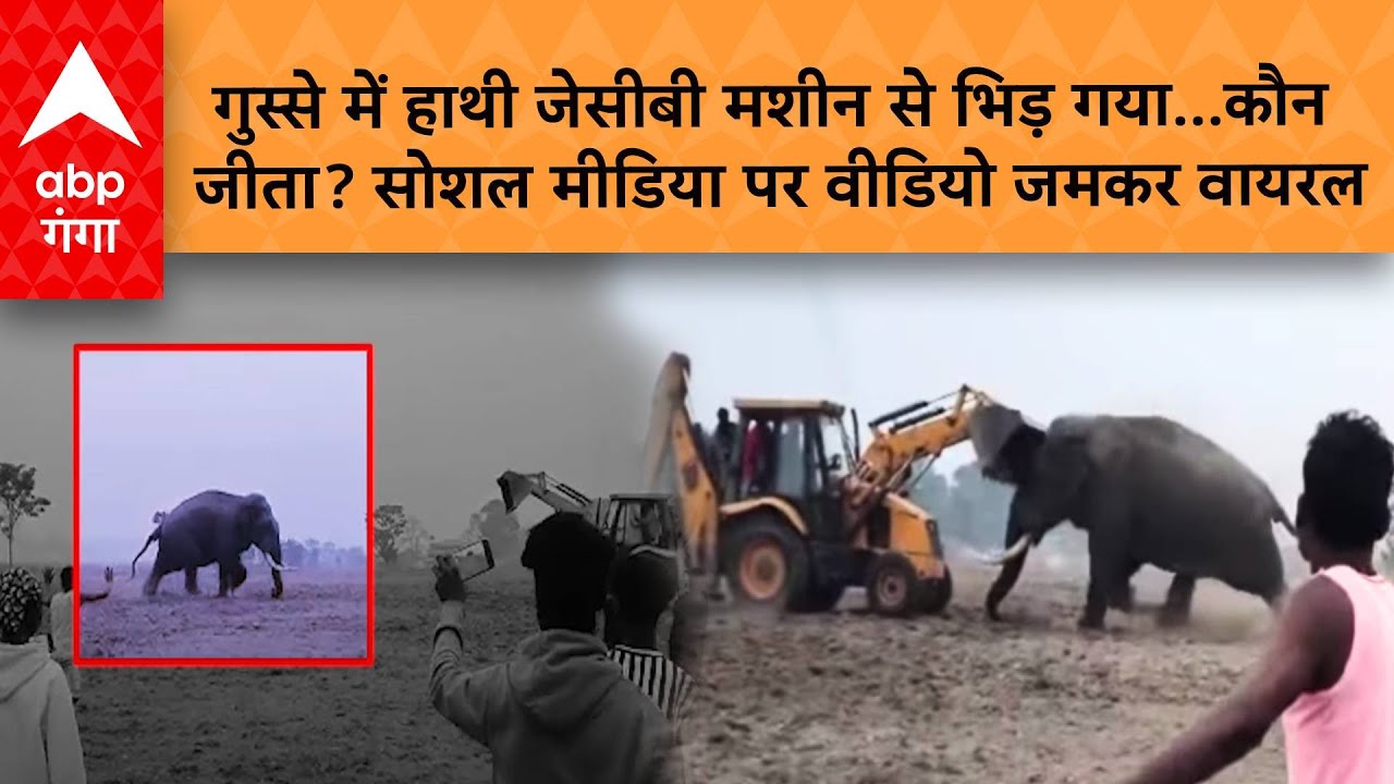 JCB vs Elephant Ka Viral Video: गुस्से में हाथी जेसीबी मशीन से भिड़ गया...कौन  जीता?