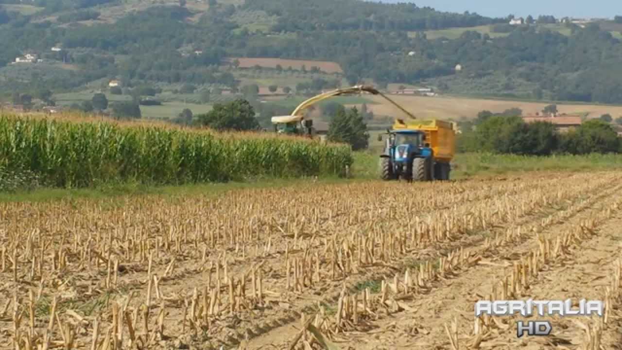 Trinciato mais 2014 -- Krone big X 850 -- Landini powermaster 220