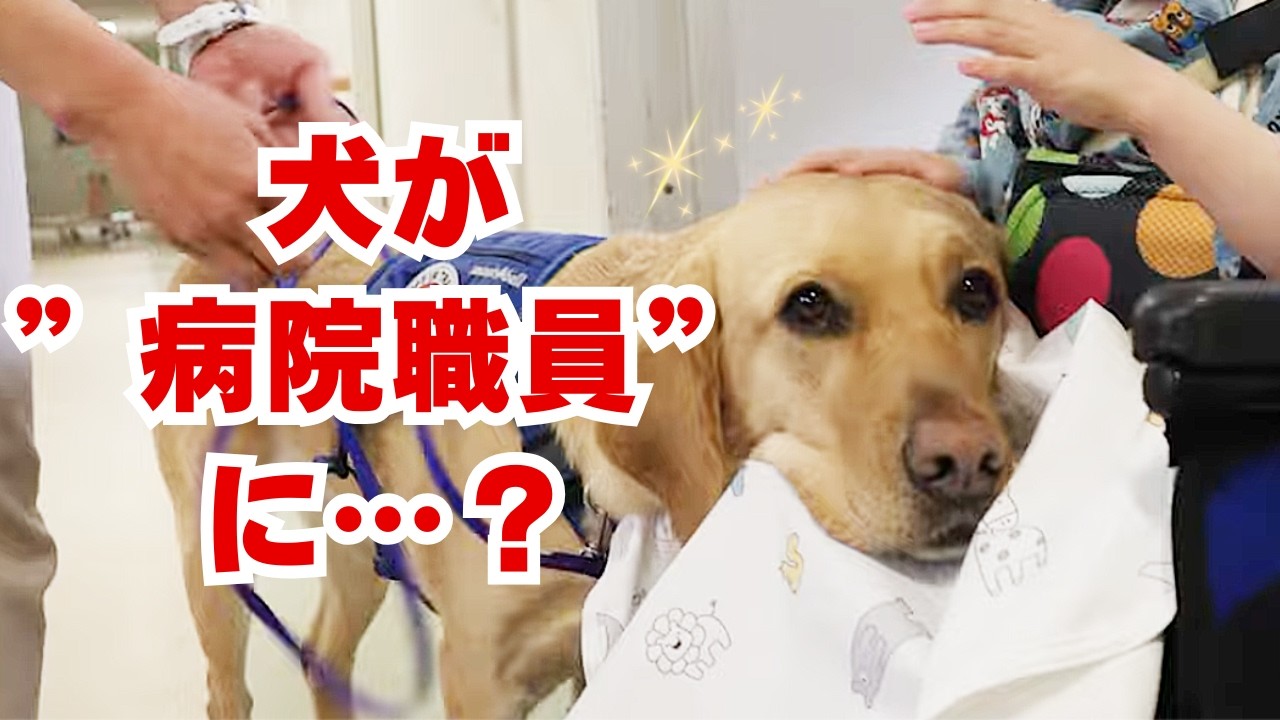 全国の国立大学病院で初！病気のこどもに寄り添う”医療チームの一員”誕生！