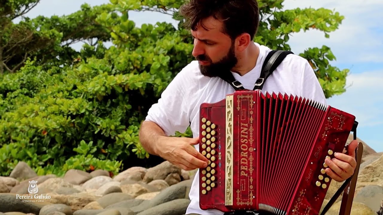 CANA VERDE | CONCERTINA | JOÃO PEDRO TEIXEIRA