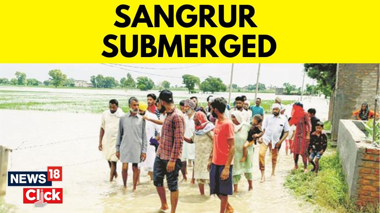 Punjab News | Punjab Continues To Stay Flooded | Knee-Deep Water in Sangrur | Ghaggar Floods | News