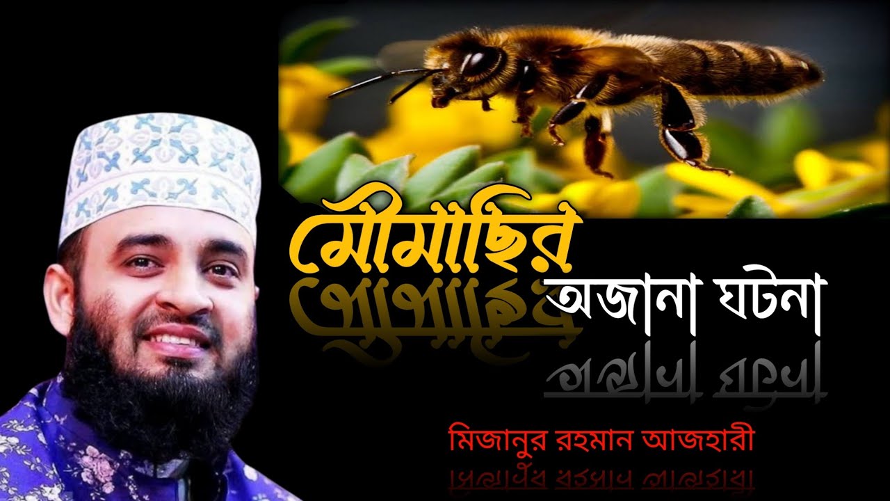 মৌমাছির অজানা ঘটনা । Mizanur rahman azhari, mizanur rahman azhari waz, azhari waz, new waz, waz