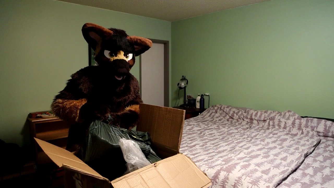 Fursuit Unboxing - Hobo Takoda