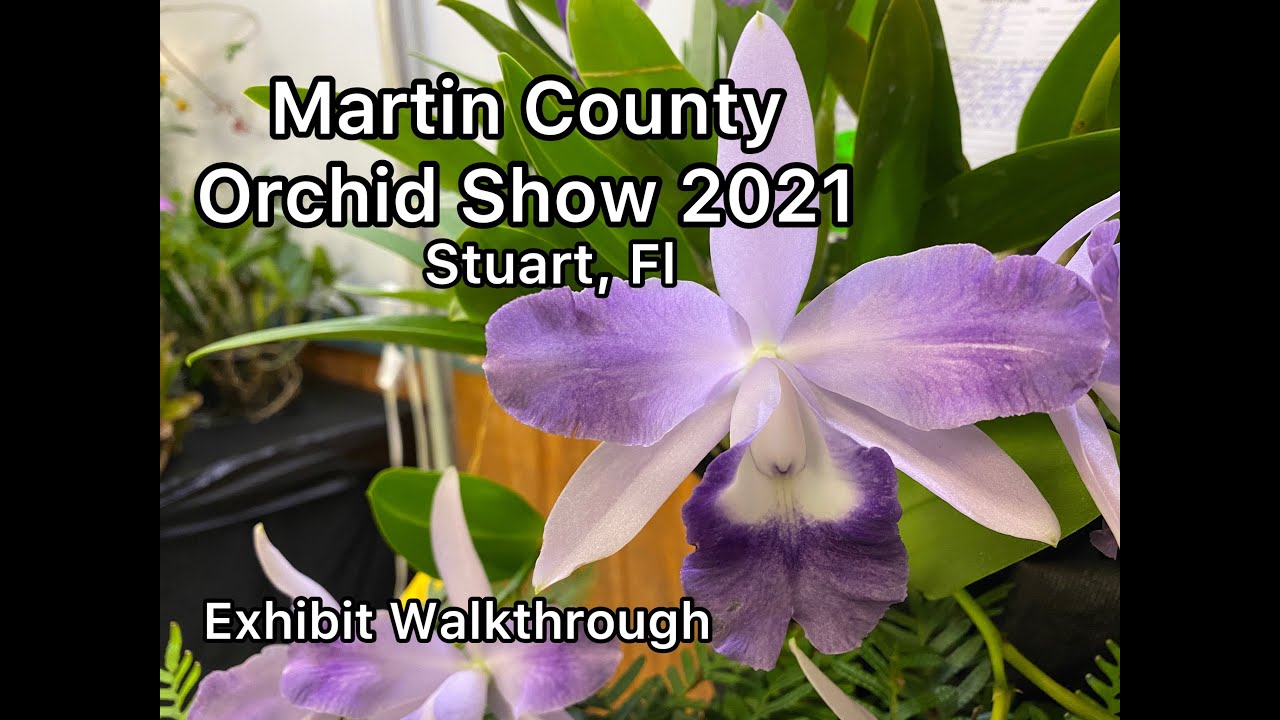 Martin County Orchid Show 2021, Stuart Florida Exhibit Walkthrough