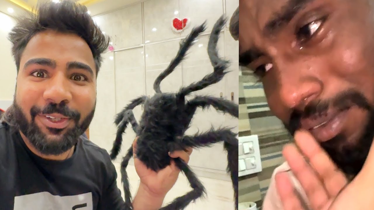 Big spider prank kar diya