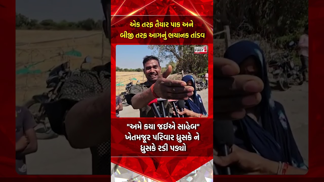 Jetpur farm fire : એક તરફ તૈયાર પાક અને બીજી તરફ આગનું ભયાનક તાંડવ | Gujarat First