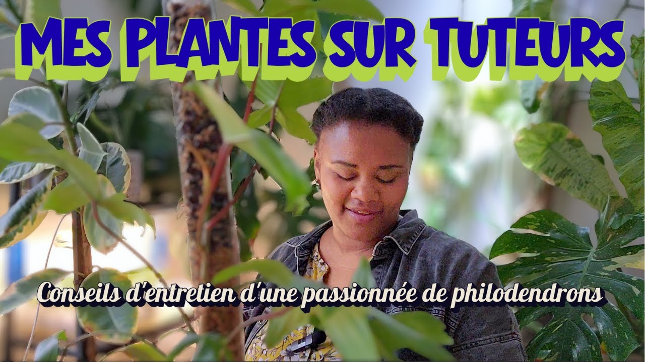 TOUT SUR LES TUTEURS (marques, installations, entretien)
