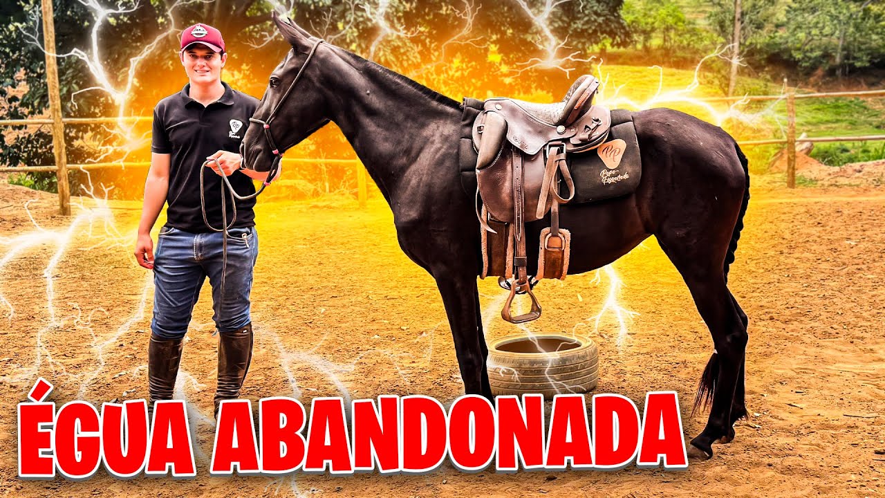 A ÉGUA ABANDONADA VOLTOU