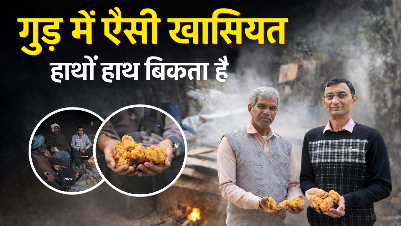 नेचुरल फार्मिंग के जैगरी का कमाल देखिए || Shudhfarm ||