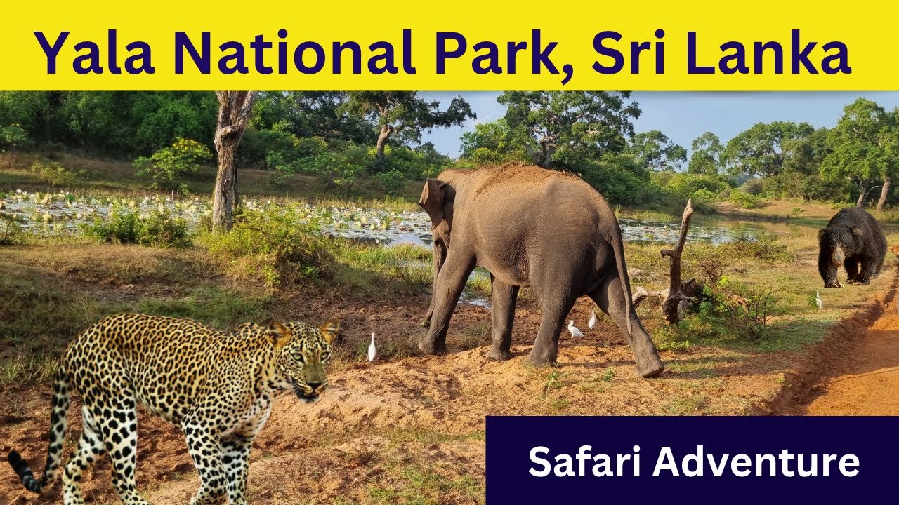 Yala National Park Safari Adventure: Explore Sri Lanka
