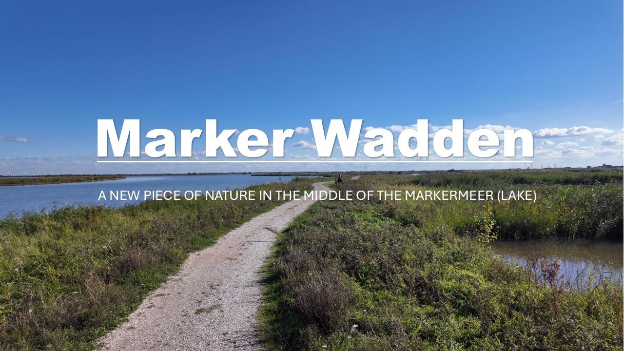 Marker Wadden - a visit to a truly unique piece of new nature