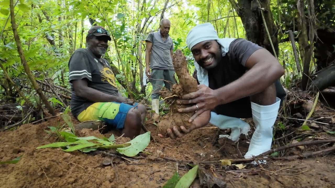 Digging For Wild Yams🇫🇯