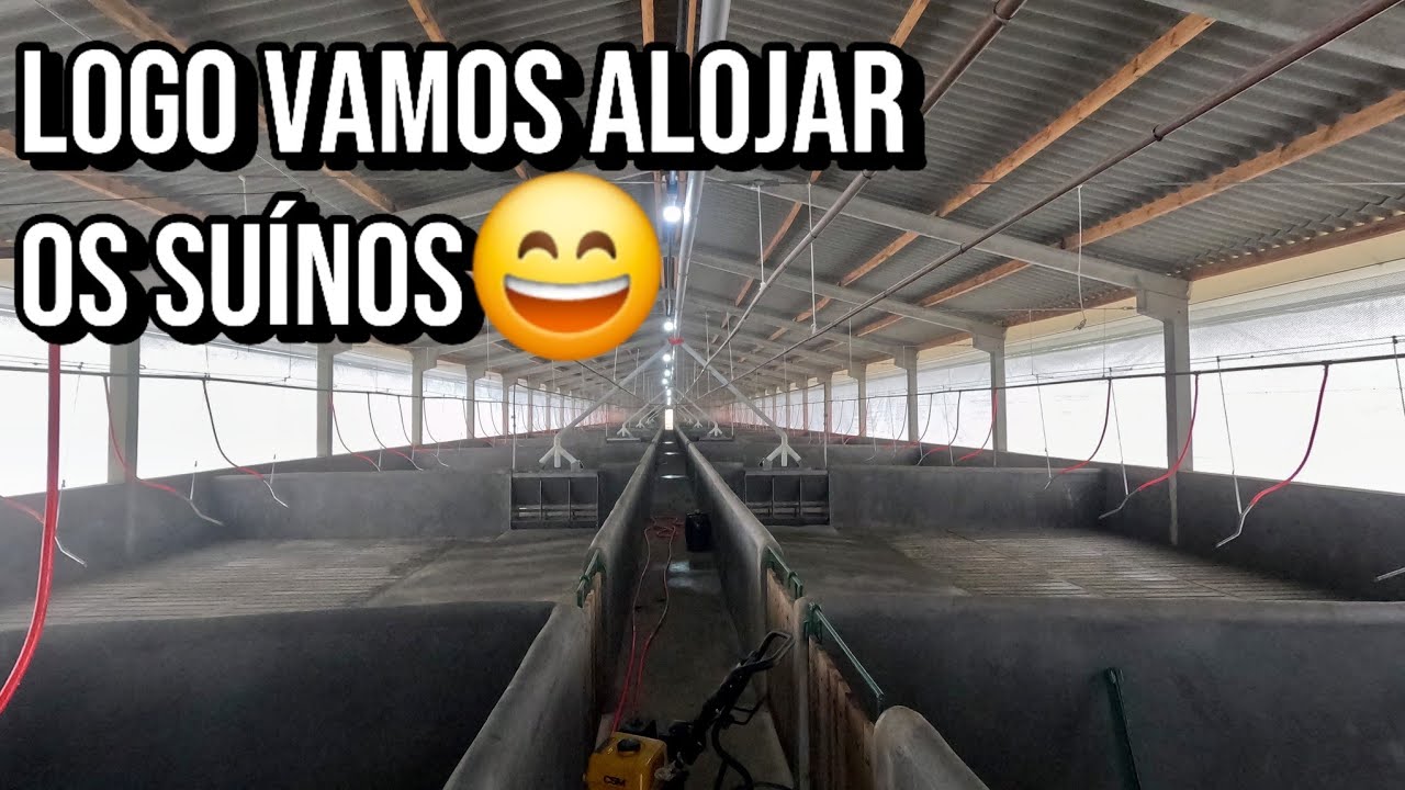 Lavando a Granja de Suínos! Preparando Tudo para Chegada dos Porcos 🐷