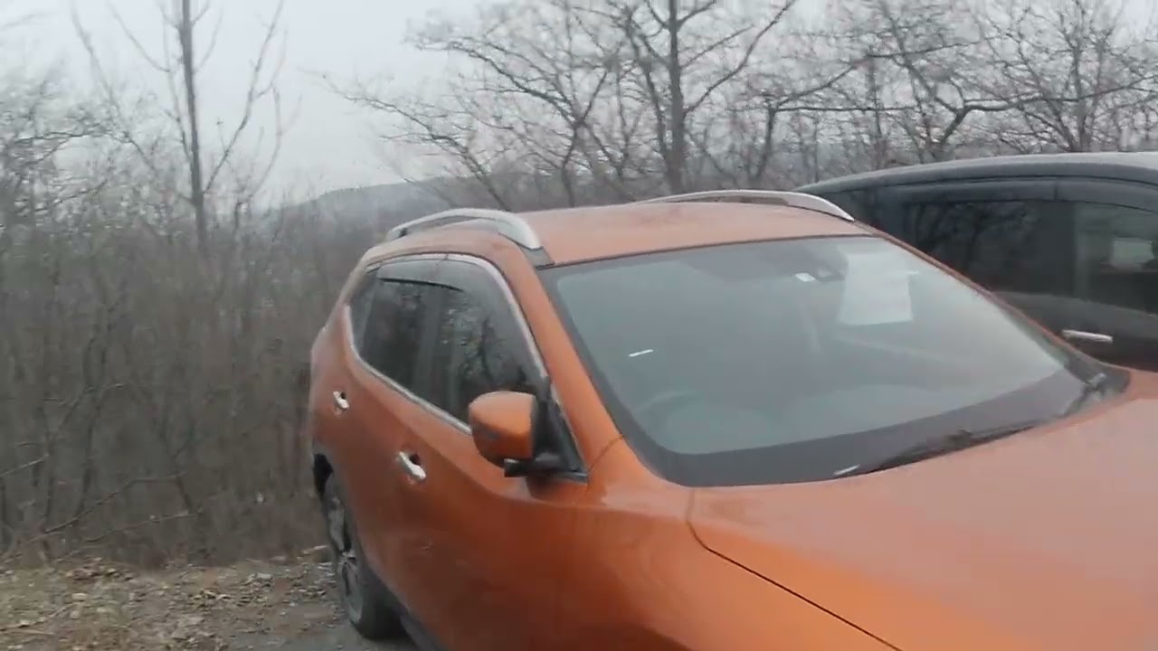 Зеленый угол-авторынок в марте.Что продают?По каким ценам?
