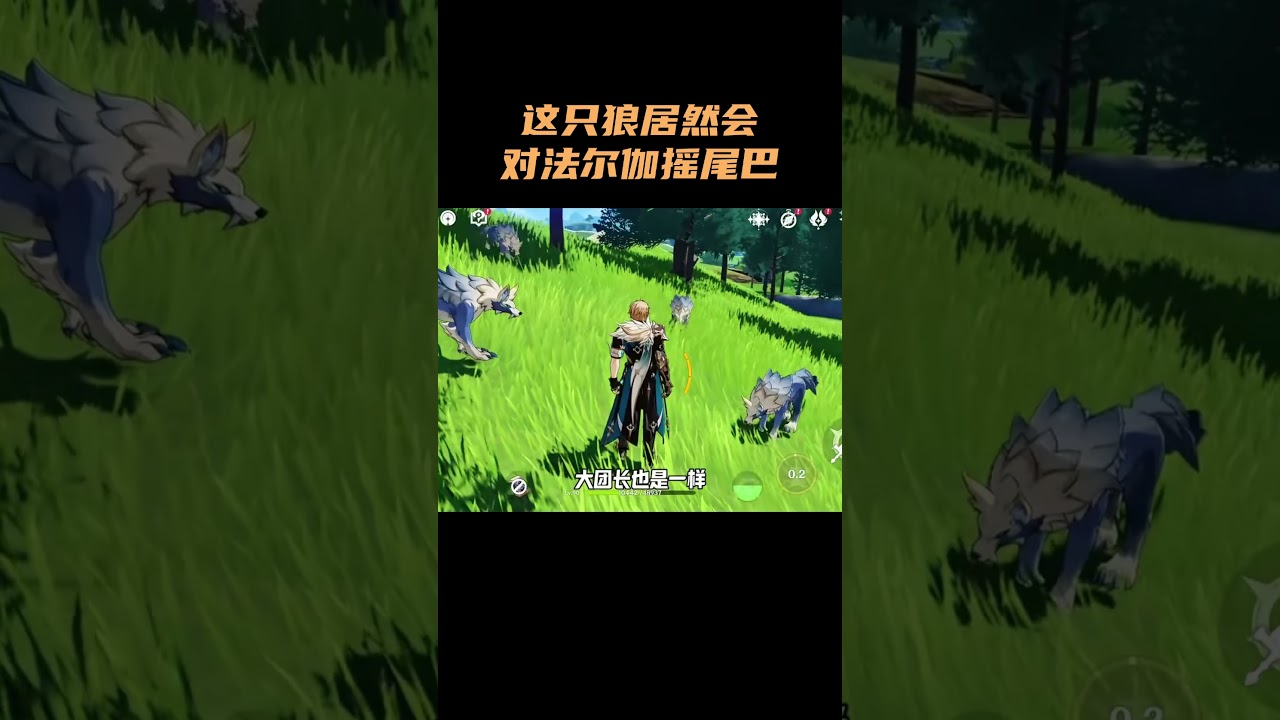 这只狼居然会对法尔伽摇尾巴？！ #原神 #原神空月之歌