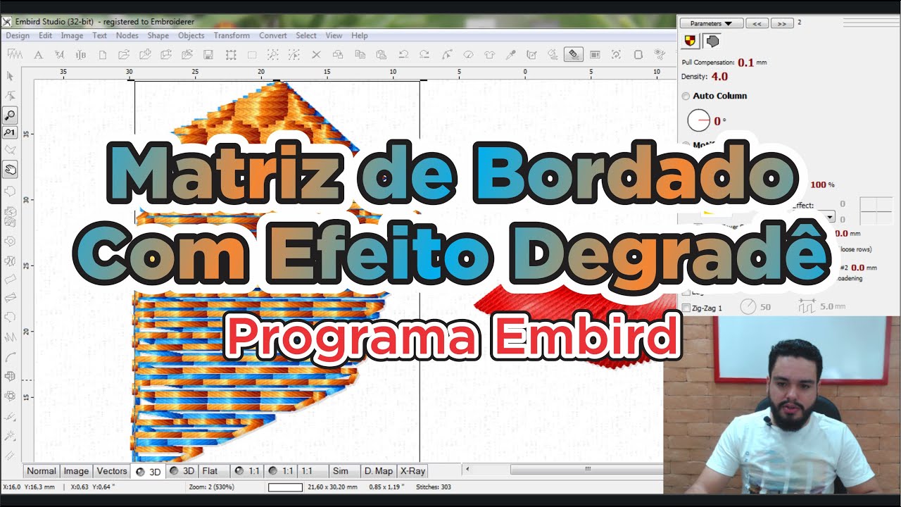 MATRIZ DE BORDADO DEGRADÊ PASSO A PASSO NO EMBIRD