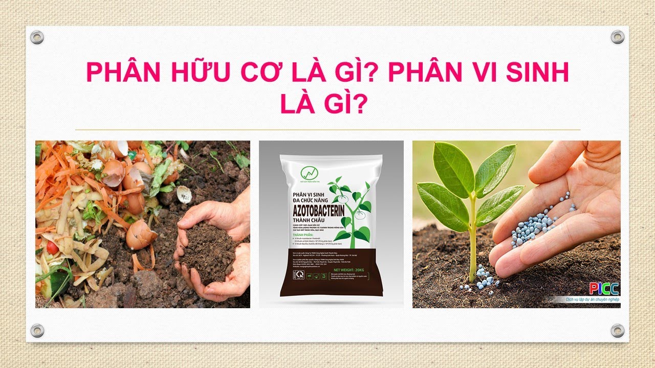 Ph&acirc;n biệt Ph&acirc;n b&oacute;n Hữu cơ v&agrave; Ph&acirc;n b&oacute;n Vi sinh | Yeucay.vn
