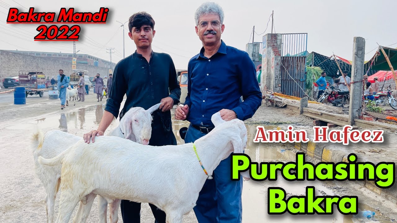 Amin Hafeez Purchasing Bakra for Eid-ul-Adha 2022 (Series 3/5) | Amin Hafeez