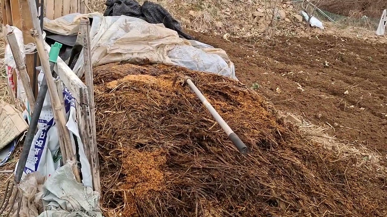 밑거름 하고 밭갈이 하는 날