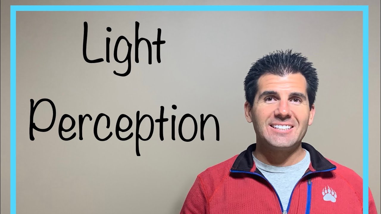What Does it Mean to Have Light Perception Vision And What Does it Look Like?