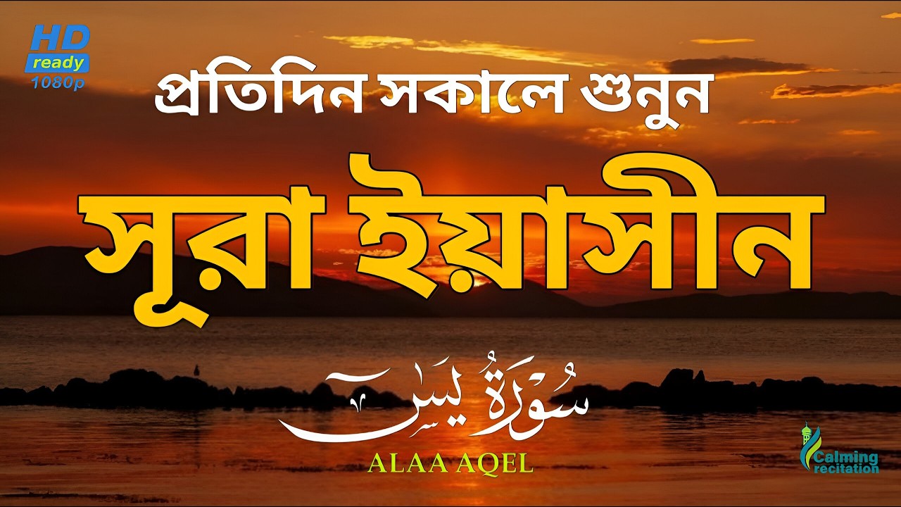 সেরা কুরআন তিলাওয়াত - প্রতিদিন সকালে শুনুন সূরা ইয়াসীন ( سورة يس) | Surah Yasin by Alaa Aqel
