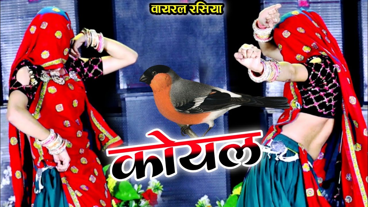 दिल तड़फे कोयल को !! Dil tadfe koyal ko !! मिलबा आजा भायेला !! Bhupendra Khatana New Viral Rasiya