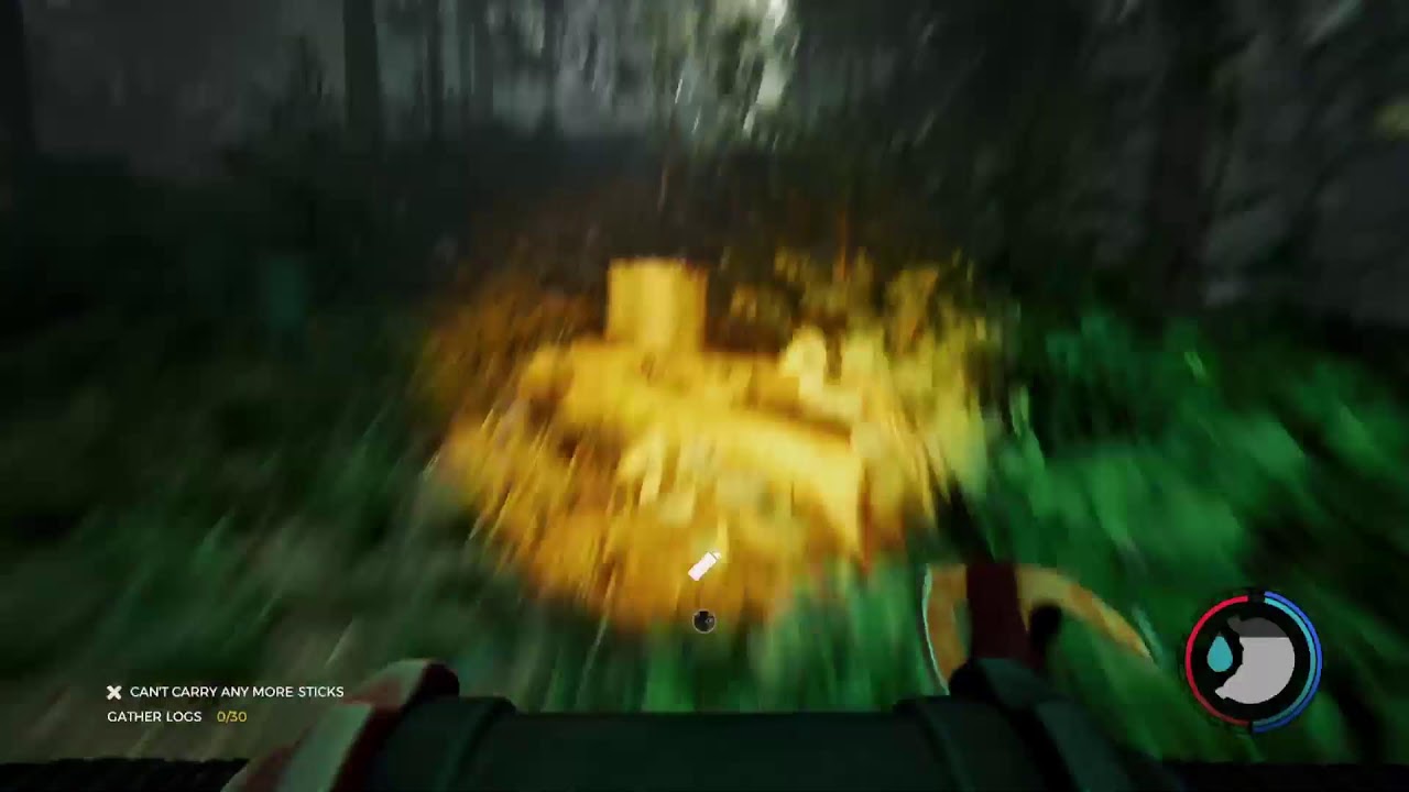 The last of us