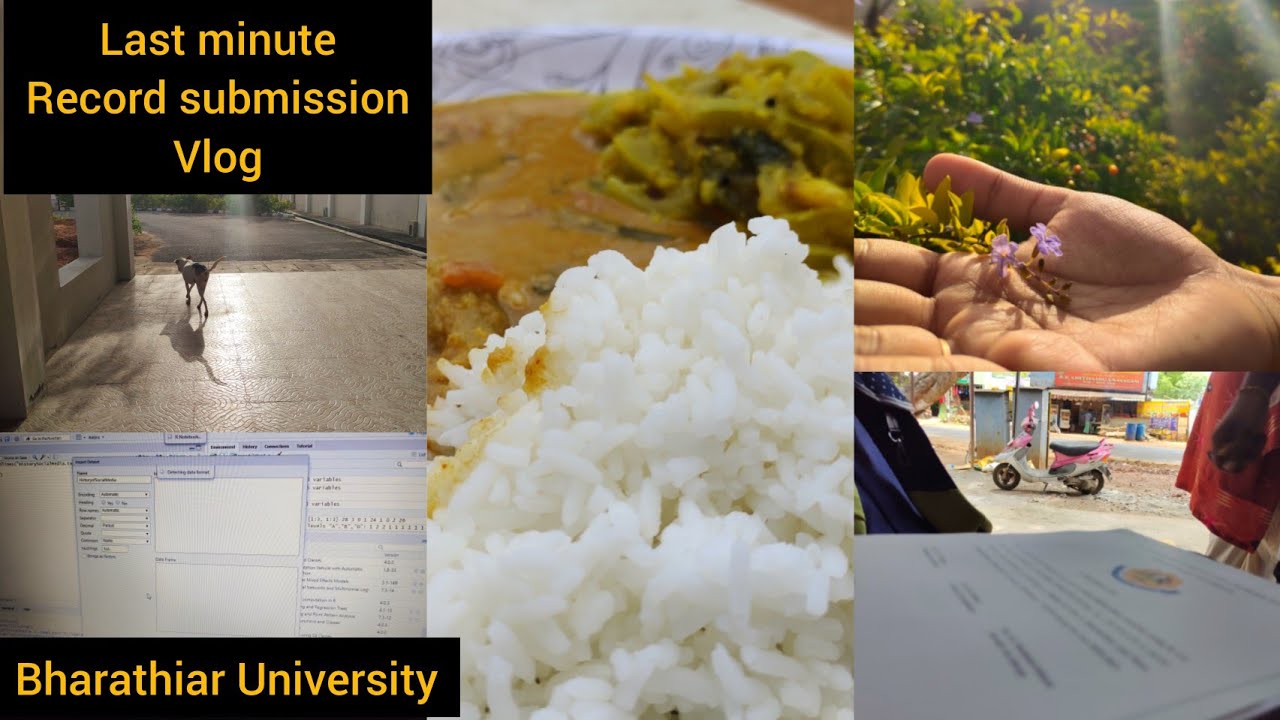 Last minute record submission vlog in tamil |  Bharathiar University MJMC block | #rslifestyle  #JMC