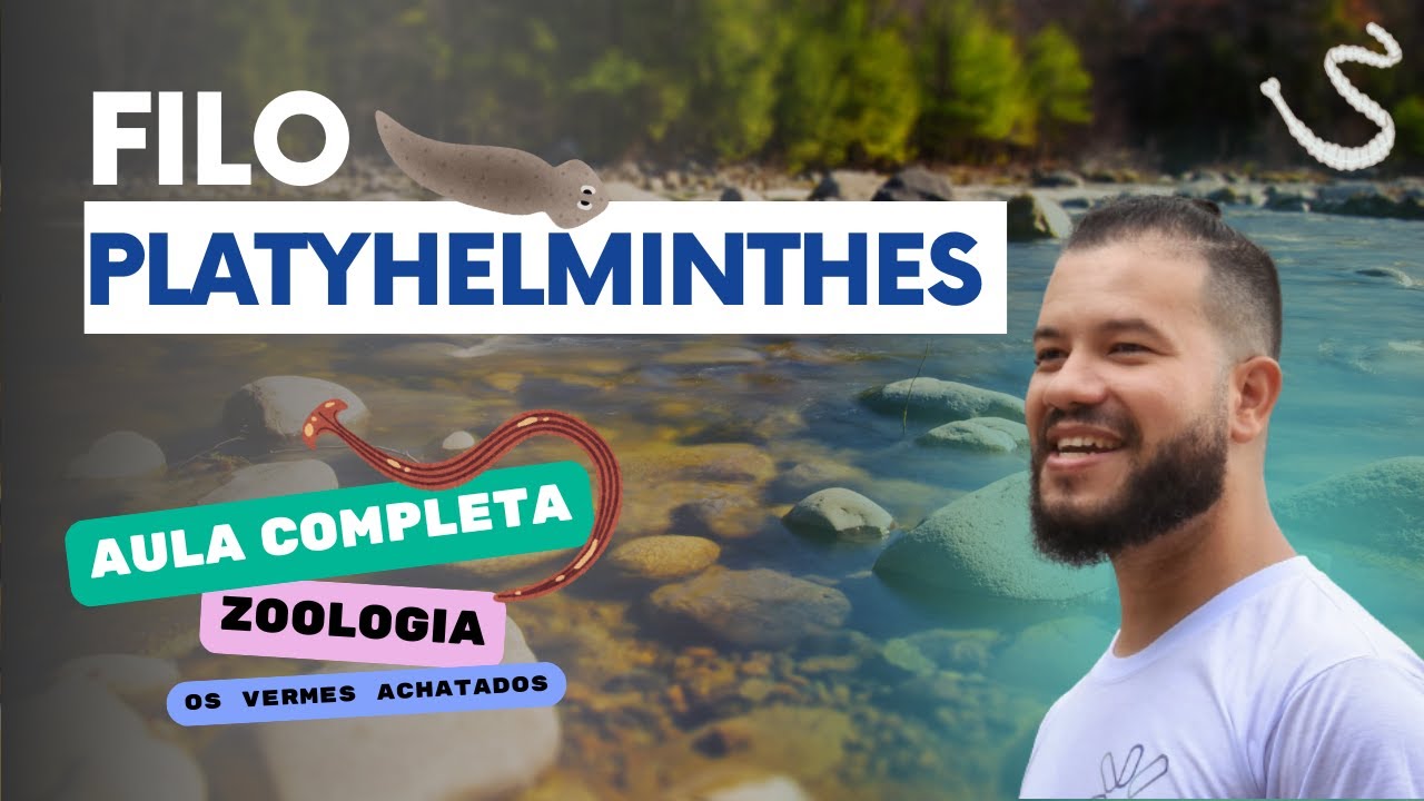 Filo Platyhelminthes - Aula Completa sobre Platelmintos | ZOOLOGIA