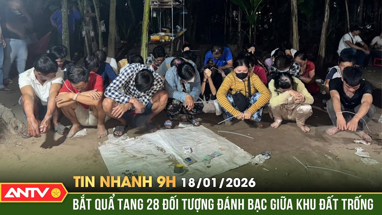 Tin nhanh 9h ngày 18/1: Bắt quả tang 28 đối tượng sát phạt cờ bạc ở Đồng Tháp | ANTV