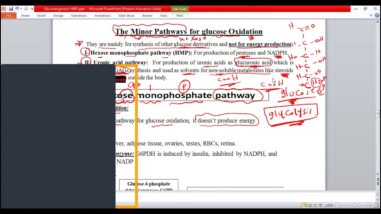BUC | Biochemistry 14 (Hexose Monophosphate Pathway , Collagen & Hemoglobin)