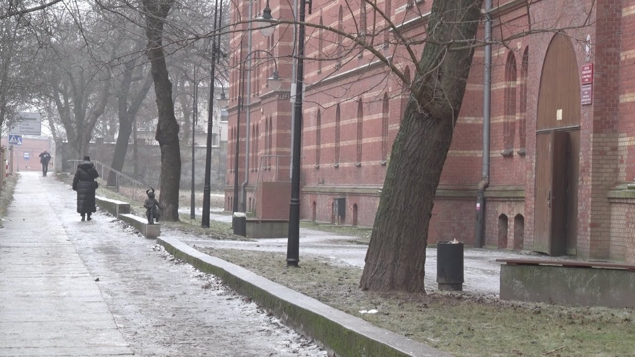 Zawieszenie zajęć lub nauczanie zdalne w szkołach z powodu trudnych warunków atmosferycznych