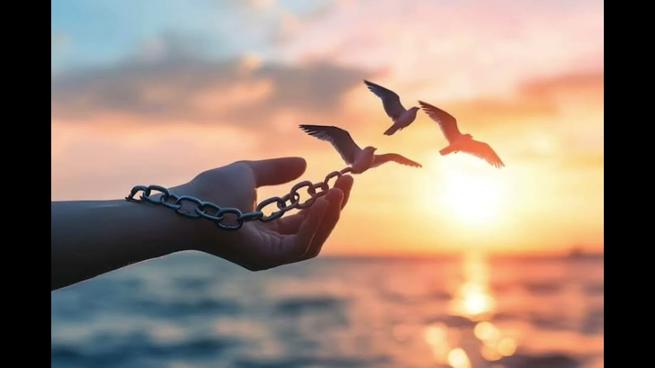 Create your freedom 🕊️