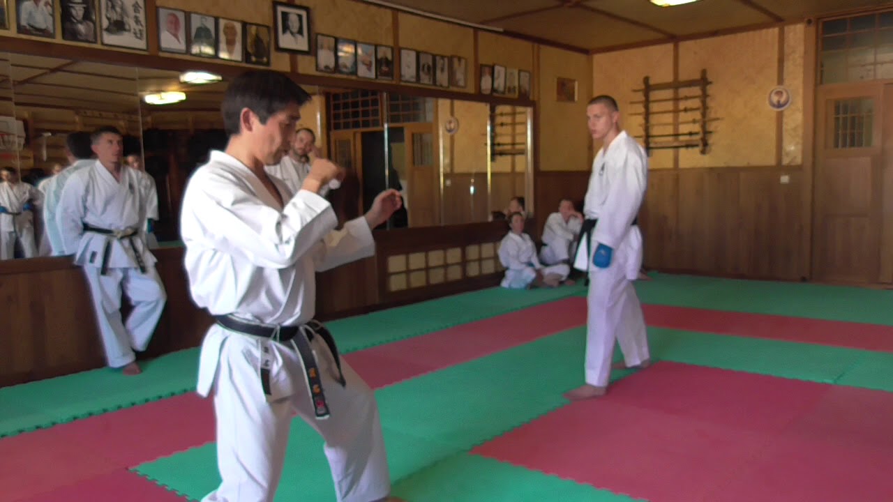 Seminar by Nukina Ukraine 2018 baze of Wado kumite // Part 4