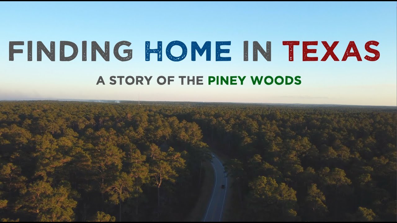 Finding Home in Texas: A Story of the Piney Woods