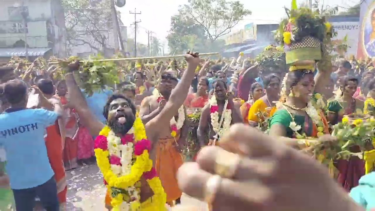 விச்சூர் ஊராட்சியில் தைப்பூசத் திருவிழா முன்னிட்டு பெண்கள் பால்குடம் எடுத்து வழிபட்டனர்.