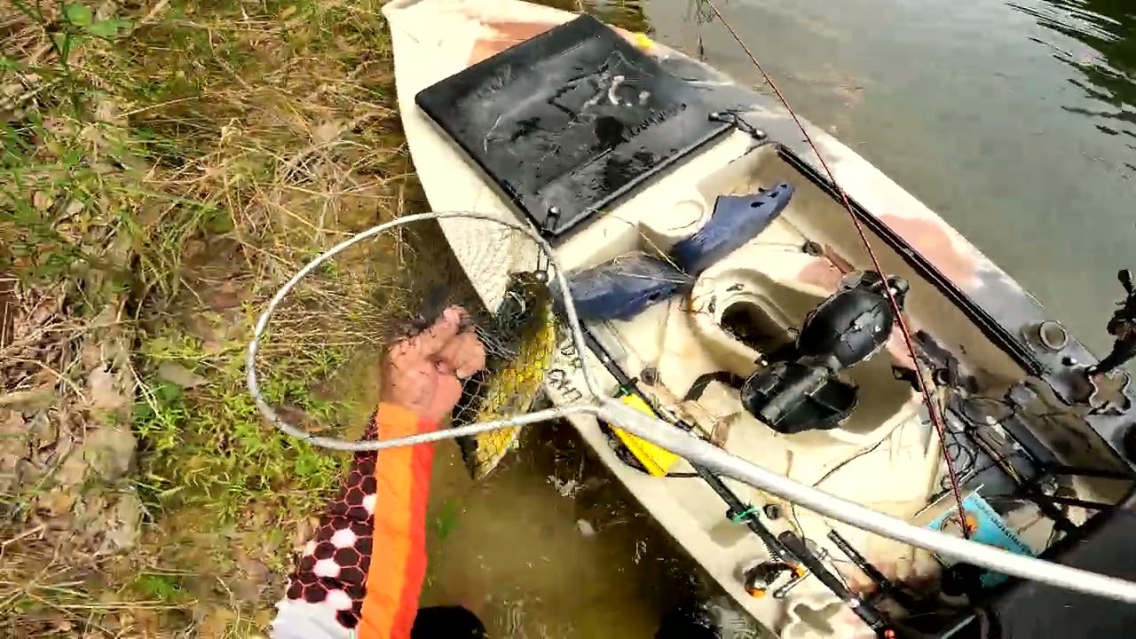 Fevereiro de 2026- Represa Cachoeira da Fumaça-  Pesca na Visada