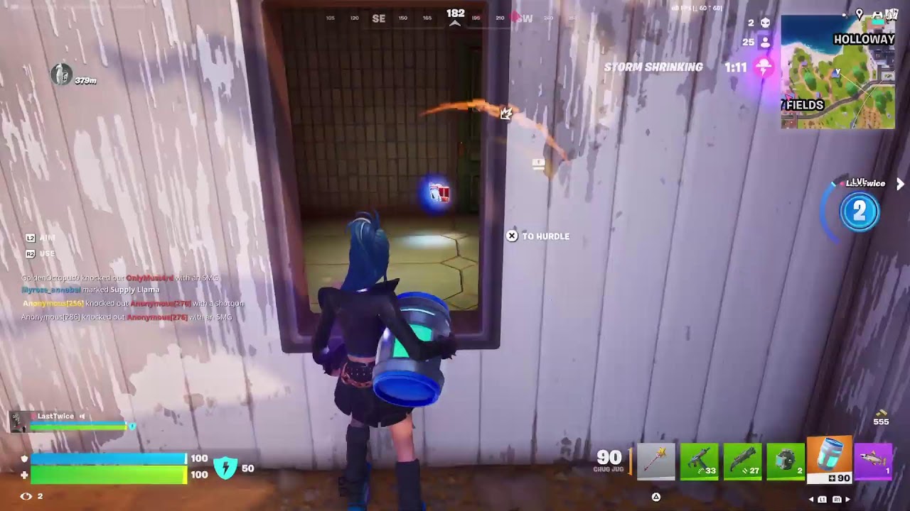 FORTNITE BLITS WINS