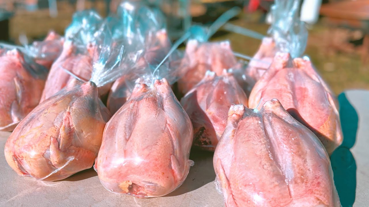 Our FIRST EVER Chicken Harvest | Learn With Us